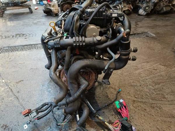 MOTEUR RENAULT CLIO 2 / THALIA / TWINGO 2 1.5DCI INJECTION DELPHI  - Vue 6